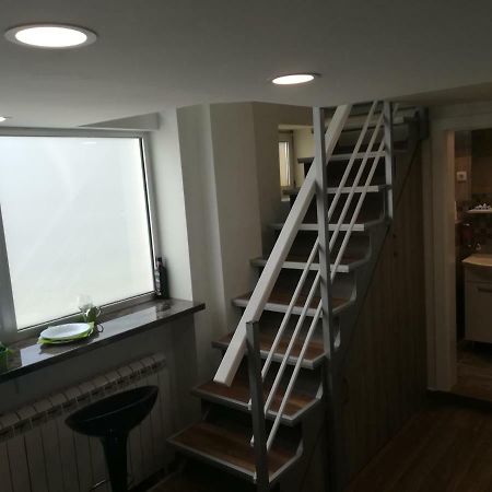 Classy And Cozy - Parking - 3 Beds - Near Center Novi Sad Eksteriør billede