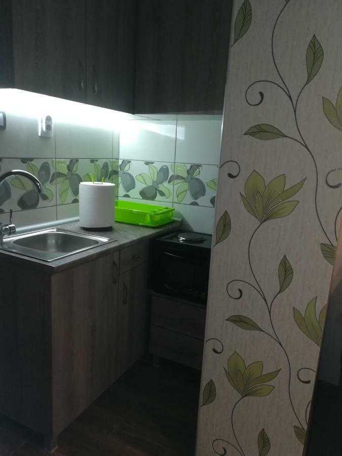 Classy And Cozy - Parking - 3 Beds - Near Center Novi Sad Eksteriør billede