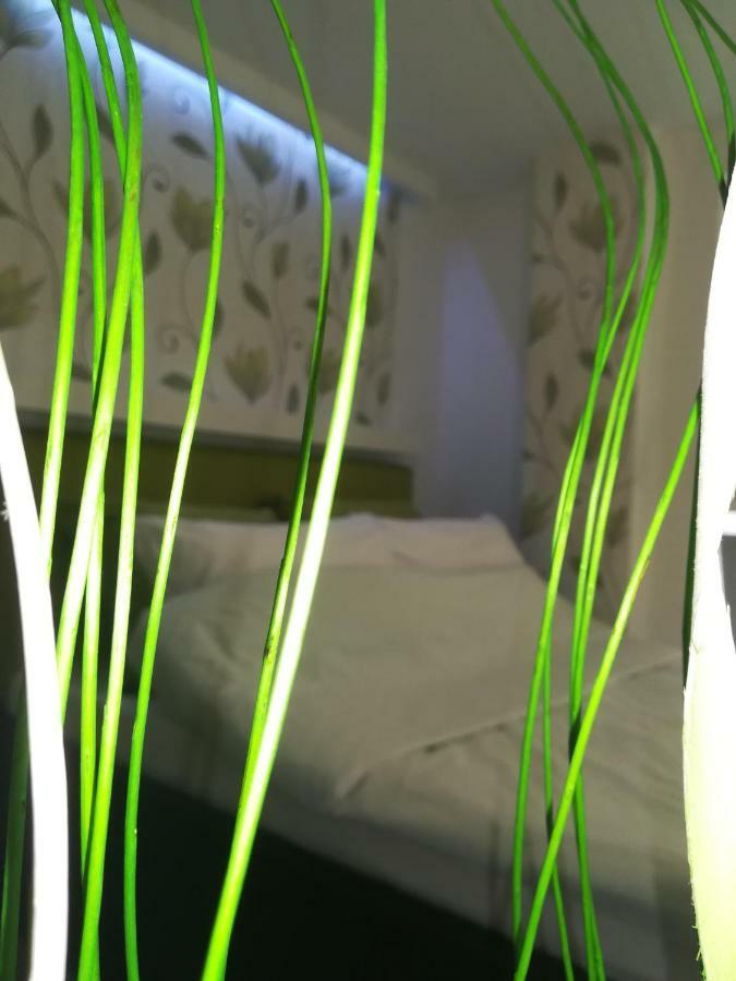 Classy And Cozy - Parking - 3 Beds - Near Center Novi Sad Eksteriør billede